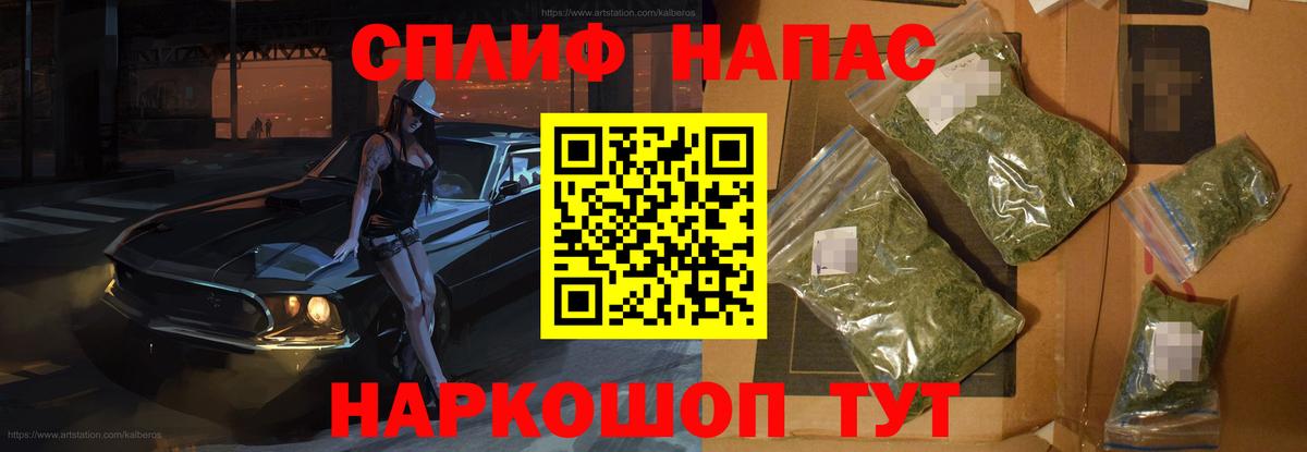Бошки Шишки MAZAR Тверь